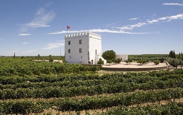 Herdade, a Torre do Esporão