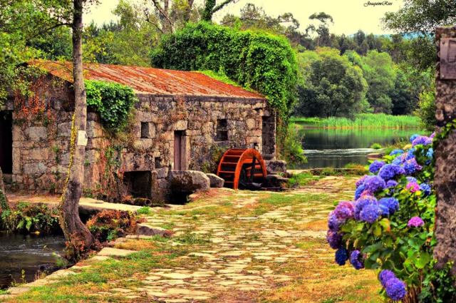 Praia Fluvial de Adaúfe